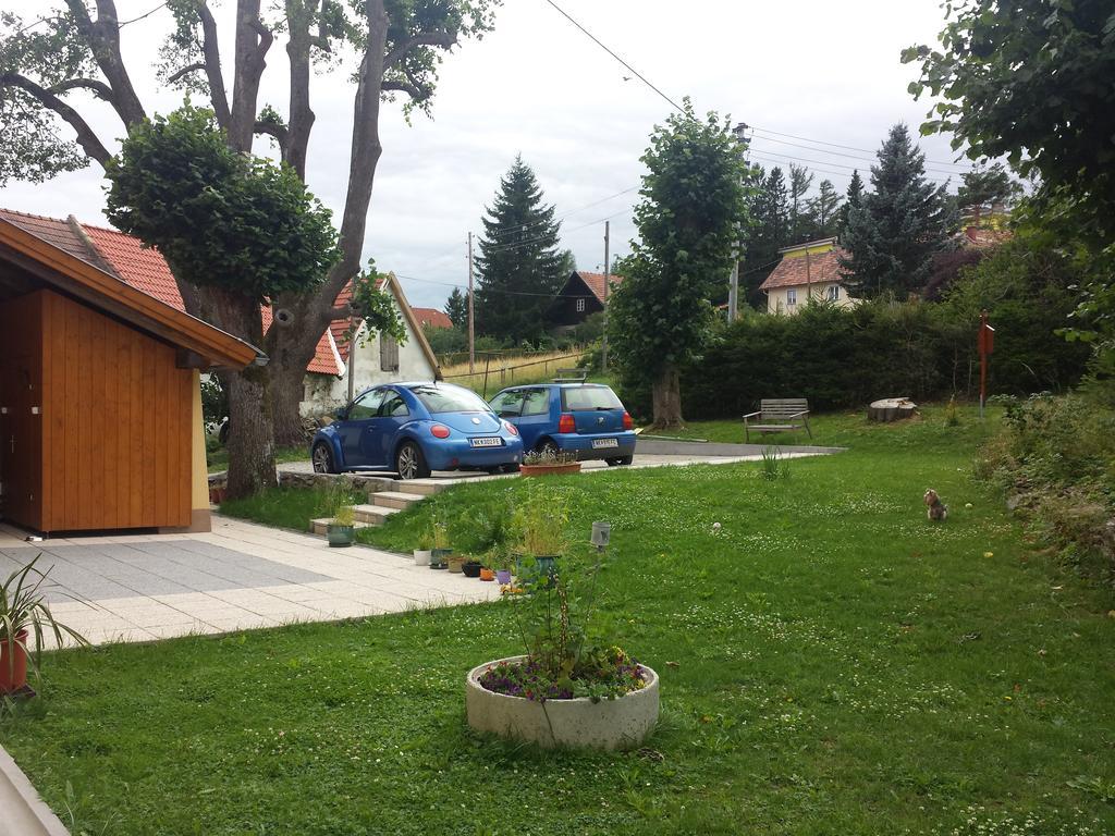 Villa Luef Mönichkirchen Extérieur photo